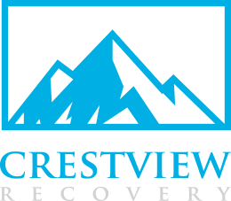 crestviewlogo1-copy