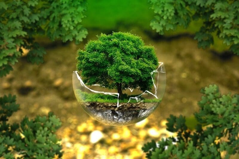 tree in glass ornament