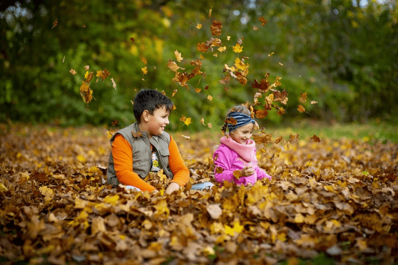 kids fall leaves