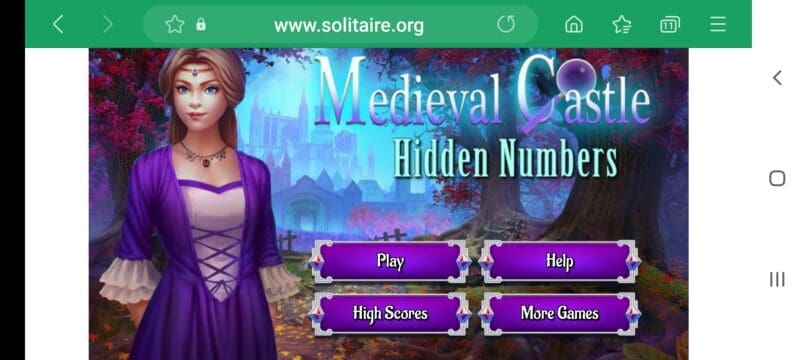 Hidden numbers game