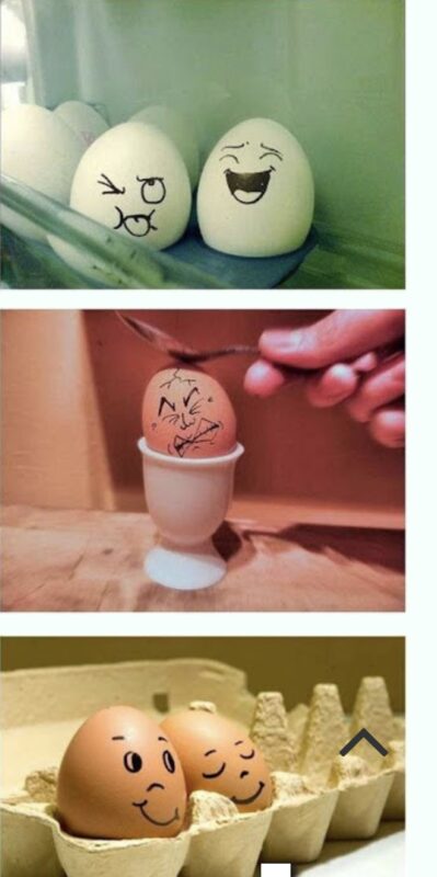 Funny eggs 