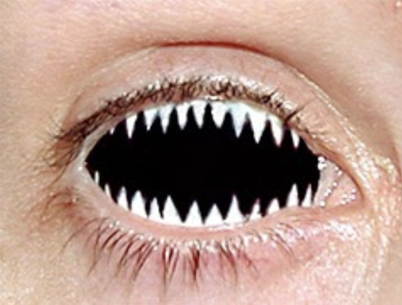 Shark eye contacts 