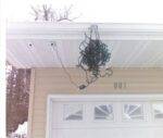 Funny Christmas lights