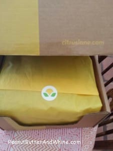 Citrus Lane Unboxing