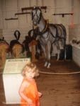 Cute little girl and horse