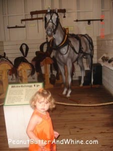 Cute little girl and horse