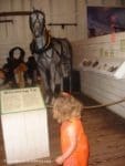 Little girl looking at horse