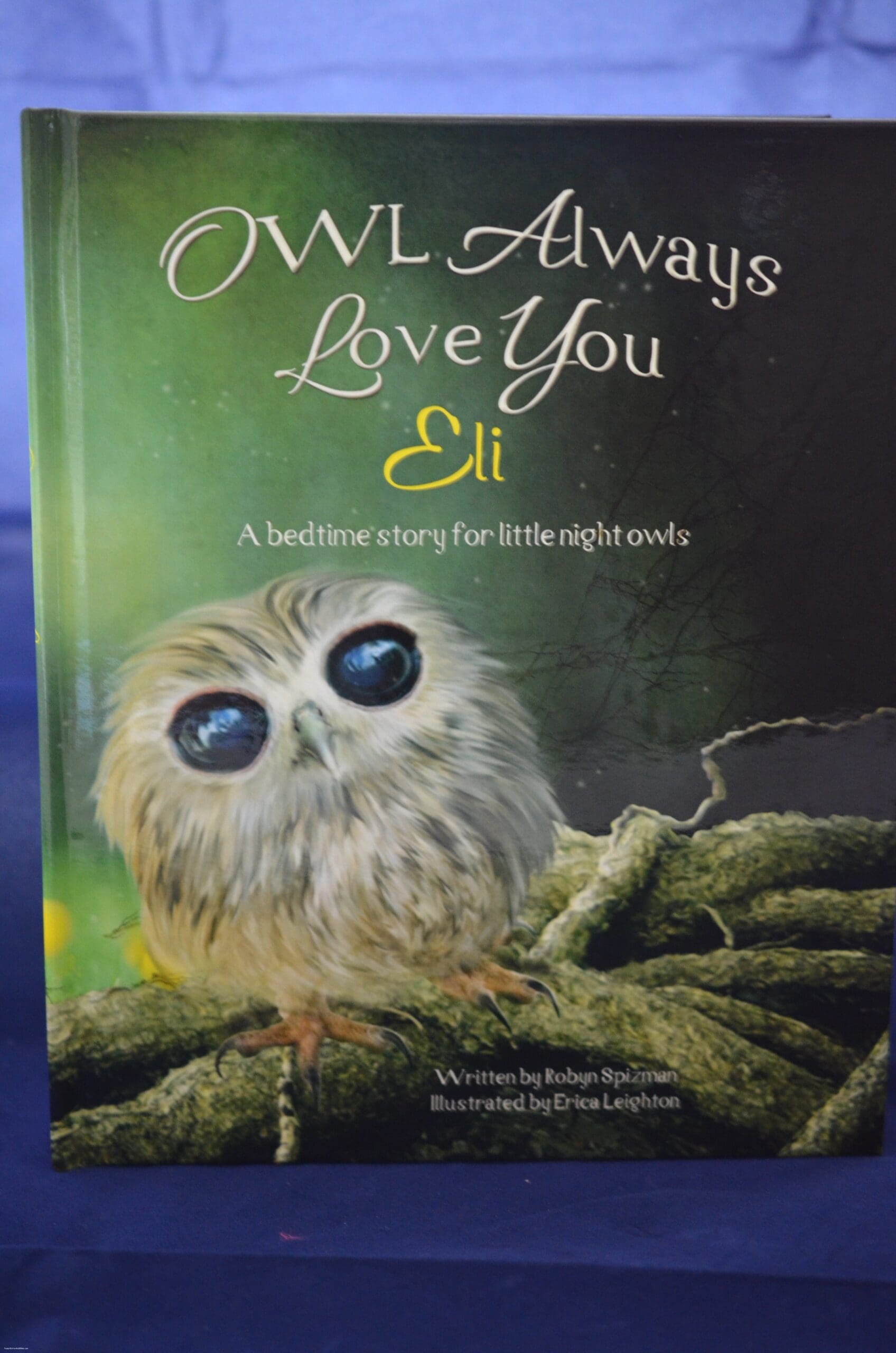 Owl Always Love you book