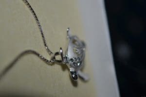 Silver Turtle necklace