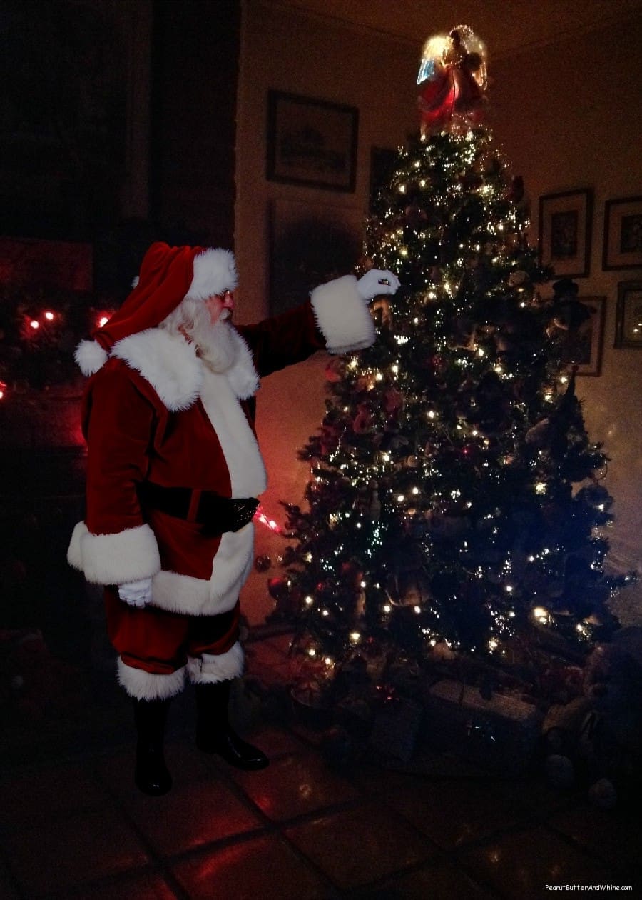Santa and MY tree