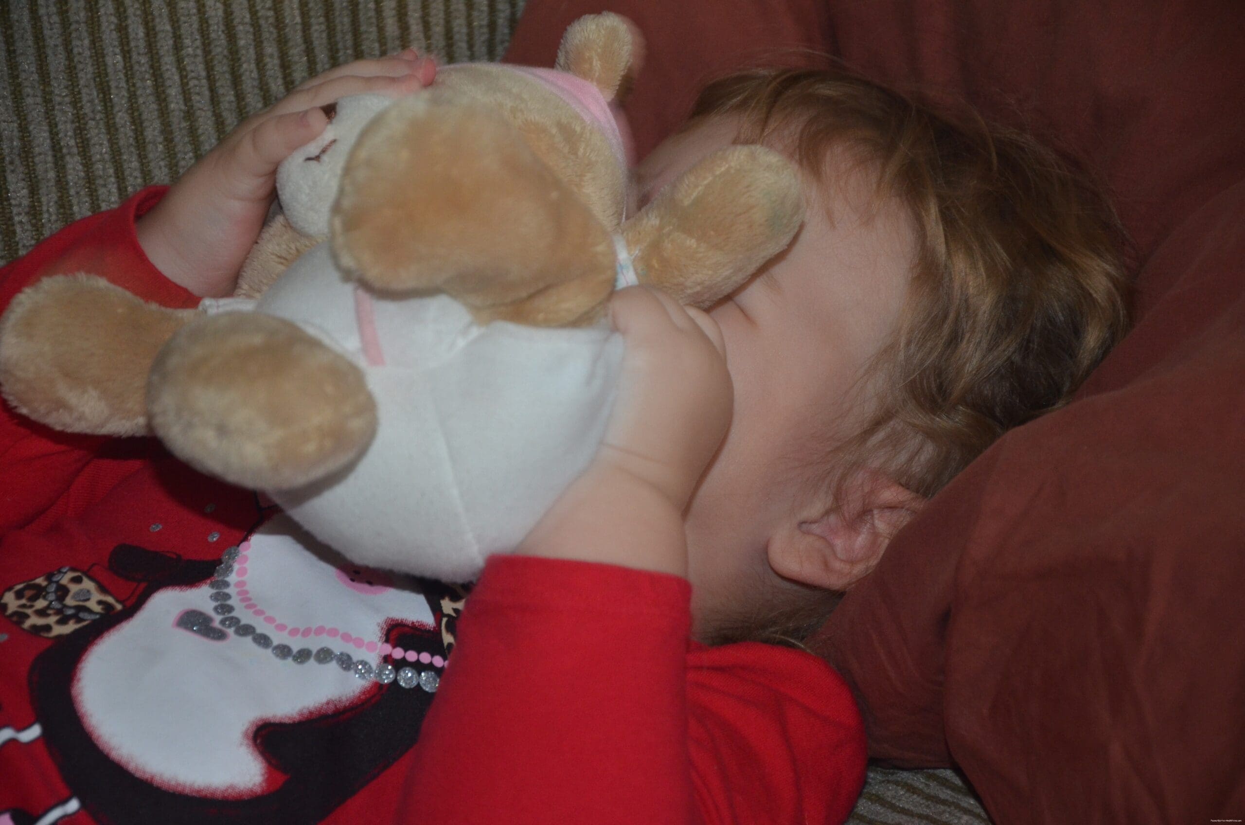 Little girl with a stuffed animal