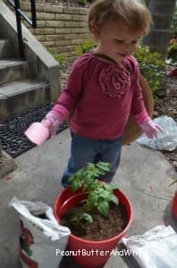 Little girl gardening