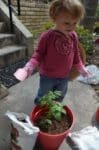 Little girl gardening