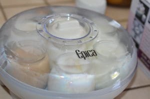 Epica Electric Yogurt Maker