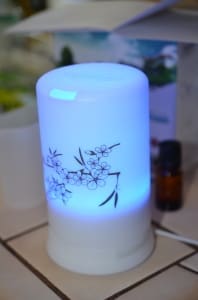 Gurin Spa Ultrasonic Aromatherapy Essential Oil Diffuser