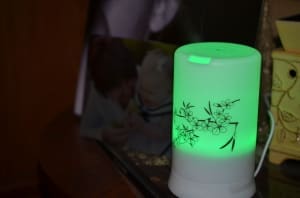 Gurin Spa Ultrasonic Aromatherapy Essential Oil Diffuser