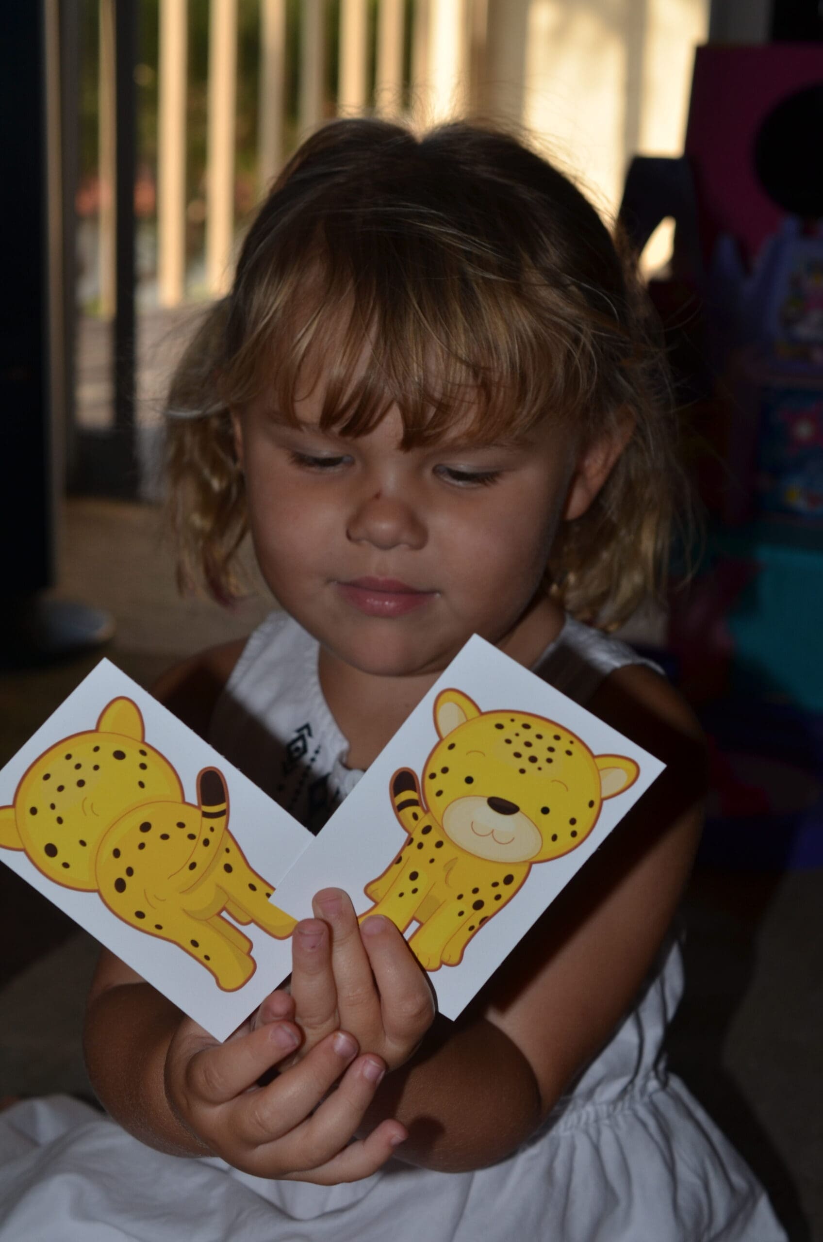 Animal Trackers Club For KIDS