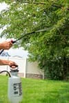 Garden Pump Sprayer with Two Gallon Tank