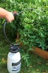 Garden Pump Sprayer with Two Gallon Tank