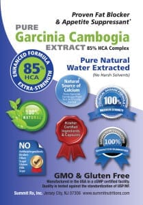 Garcinia Cambogia Extract 85 % HCA Complex-2