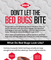 Bed bugs logo