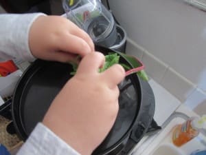 little girl helping make juice in the VonShef Slow Masticating Single Auger Juicer