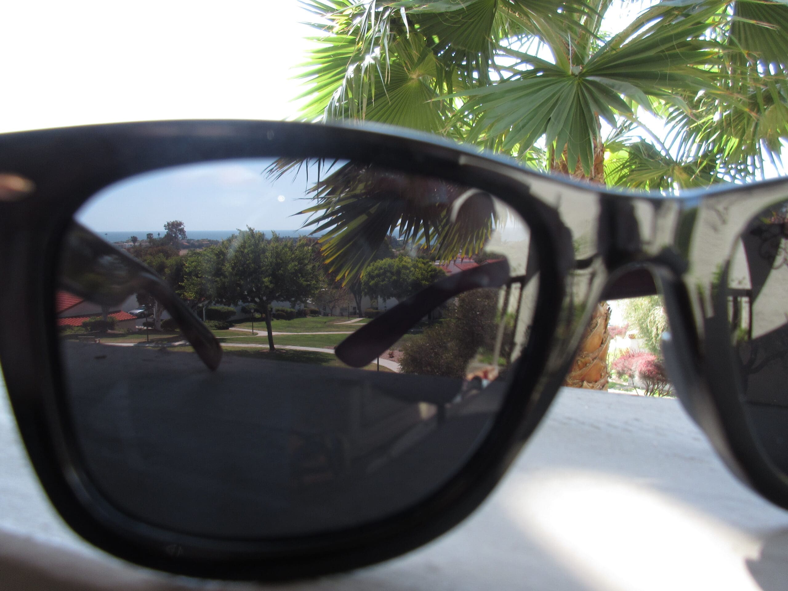 Wayfarer Sunglasses