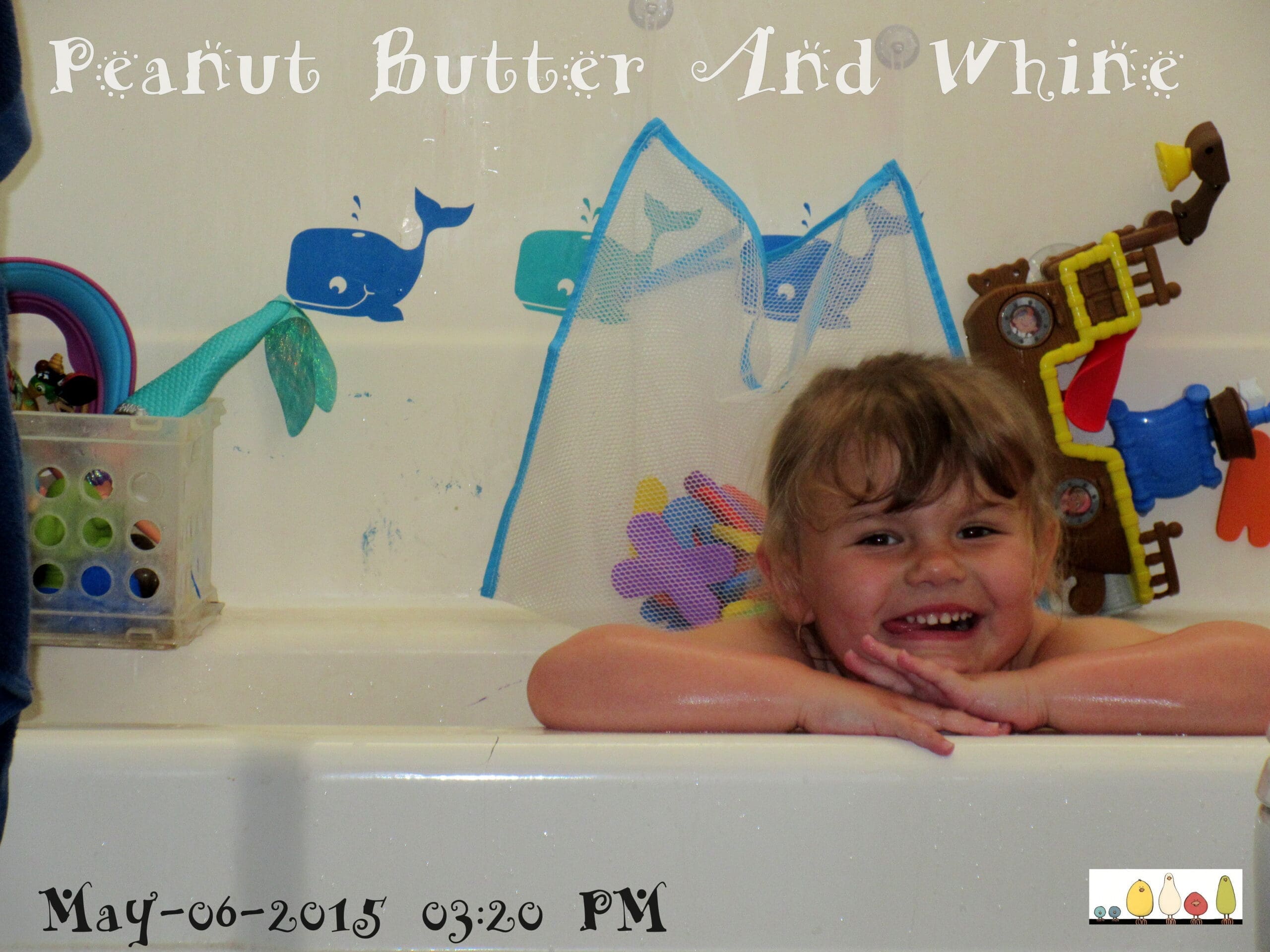 Bath Toy Organizer w/ Bath Letters & Numbers