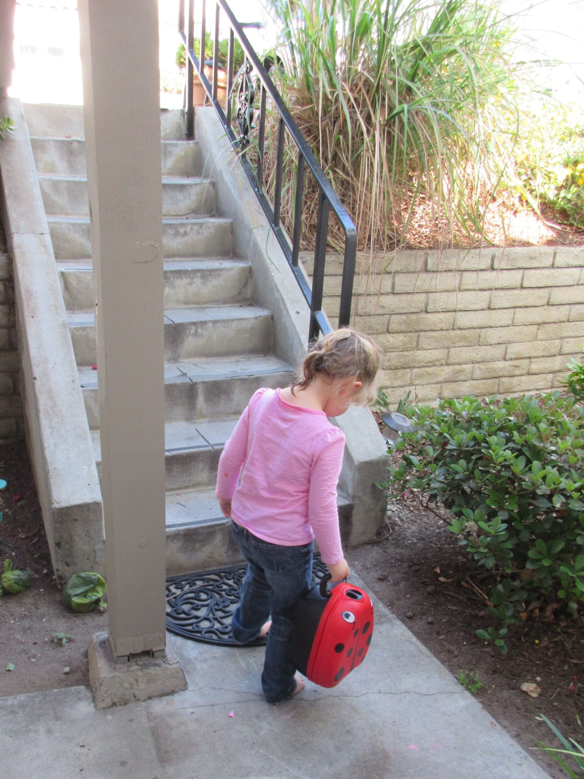 My carry Potty Lady bug