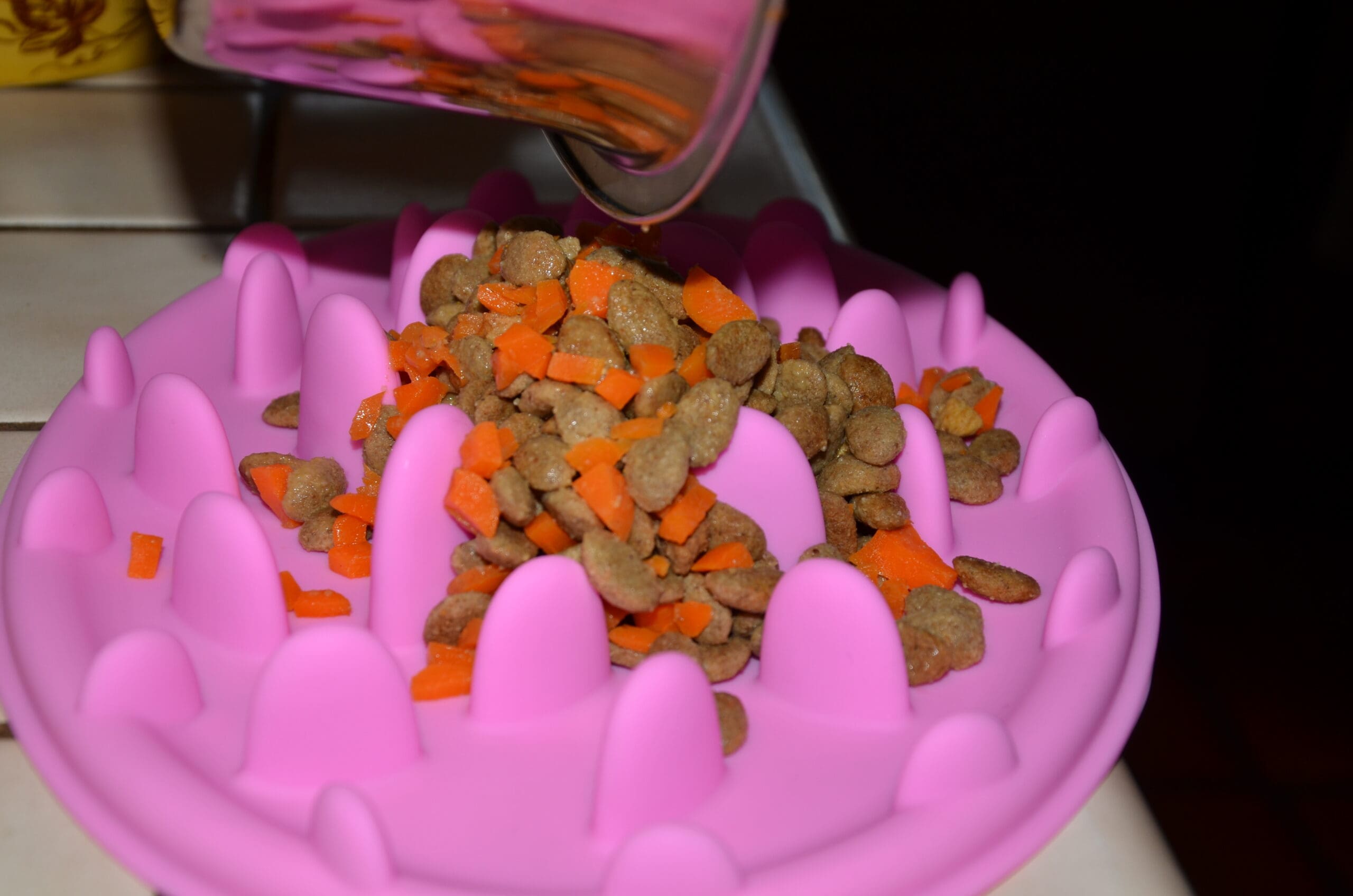 Slow dog feeder