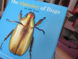 The Alphabet Of Bugs An ABC Book