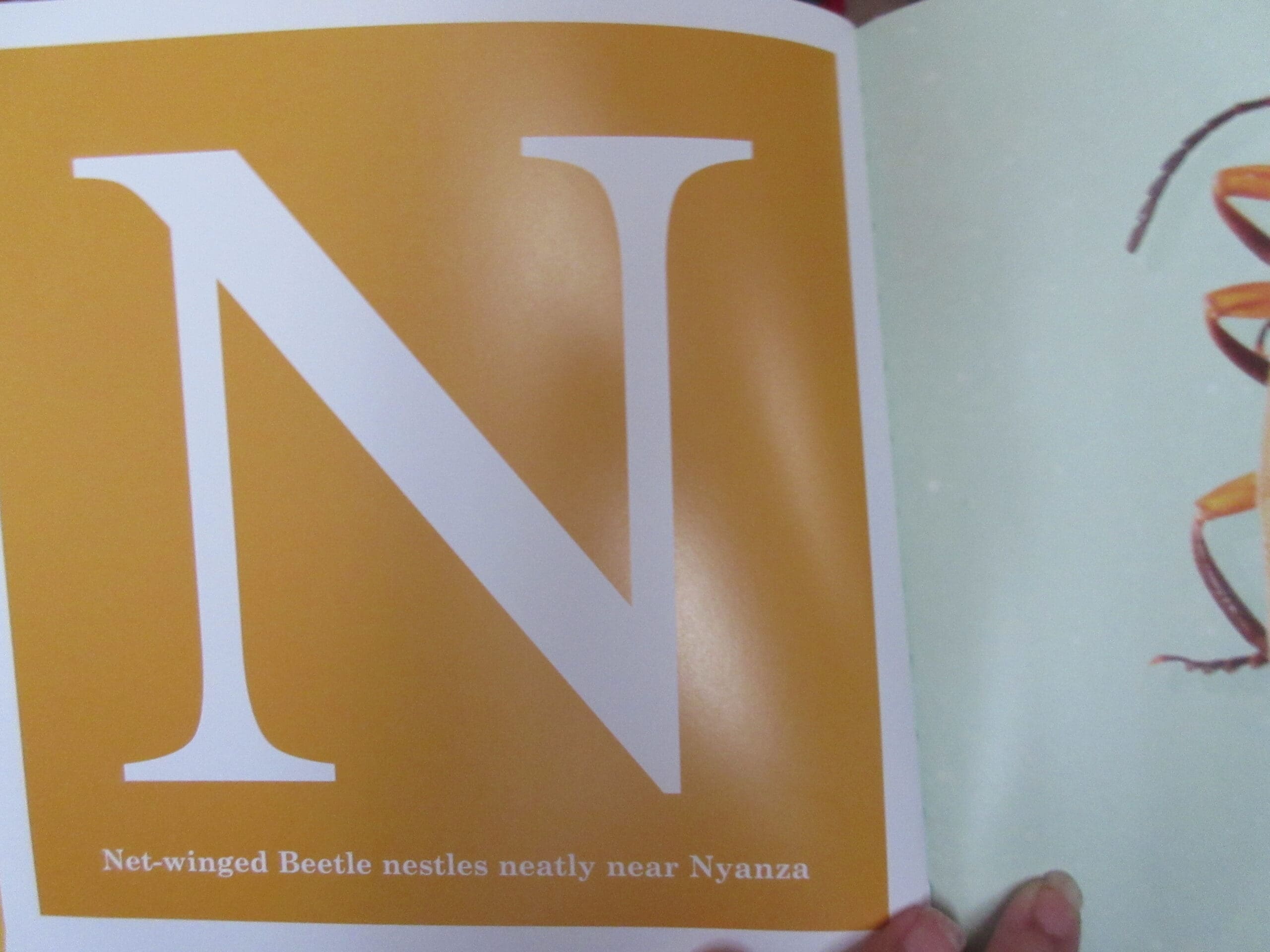 The Alphabet Of Bugs An ABC Book
