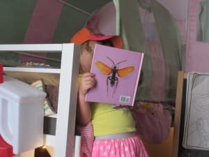 Little girl reading The Alphabet Of Bugs An ABC Book