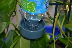 automatic plant water system