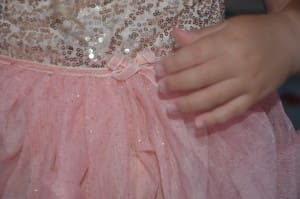 Little girl in a tutu dress