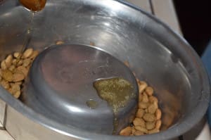 dog food bowl