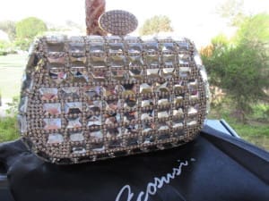 evening bag