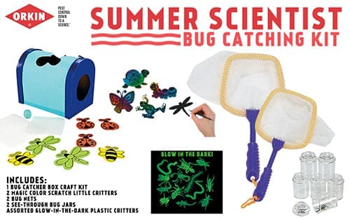 Bug catching kit