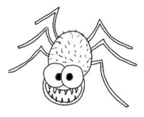 Spider drawing