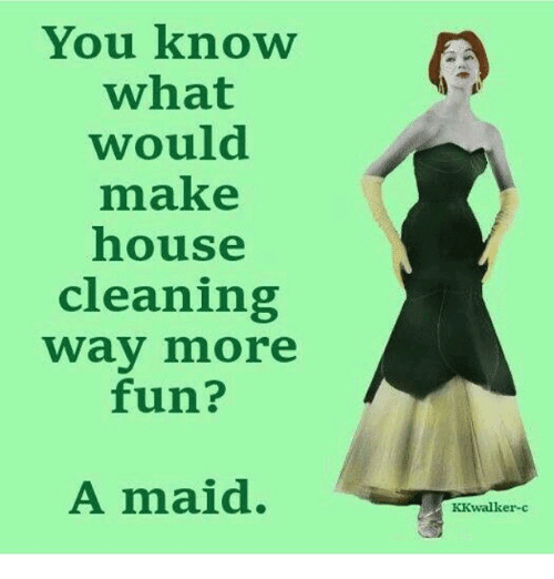 Funny house cleaning meme