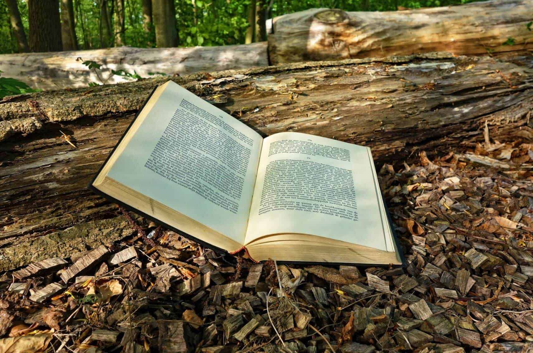 Open book in woods