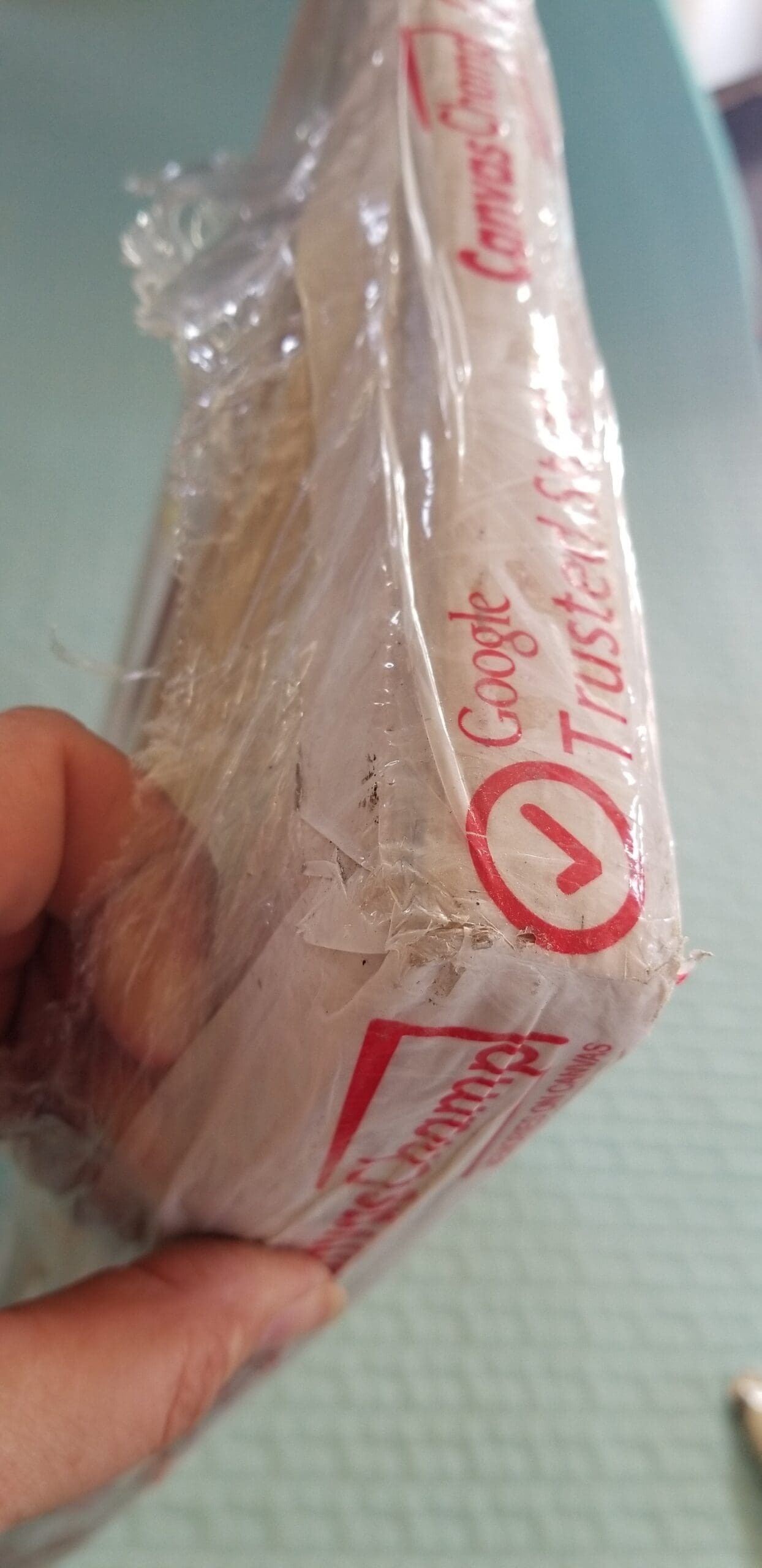 Canvas Champ unboxing