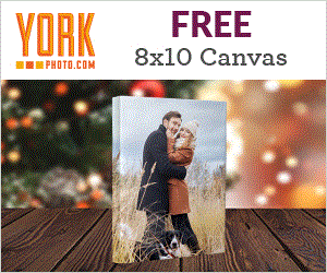 Free Canvas