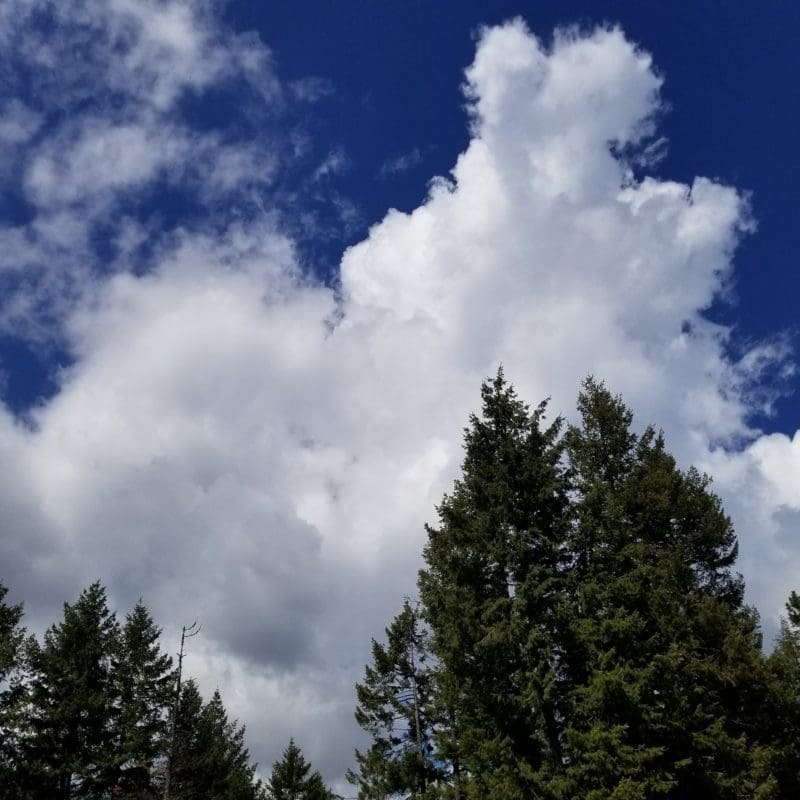 Photo-A-Day Easter bunny cloud