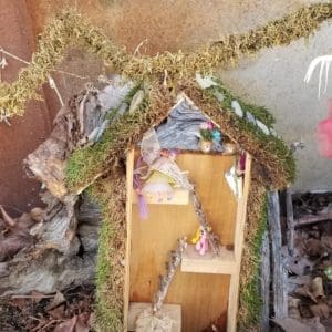 Fairy Garden