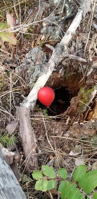 Photo-A-Day Red balloon