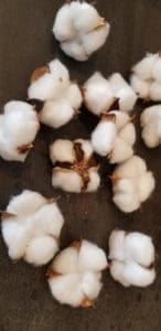 Cotton puffs