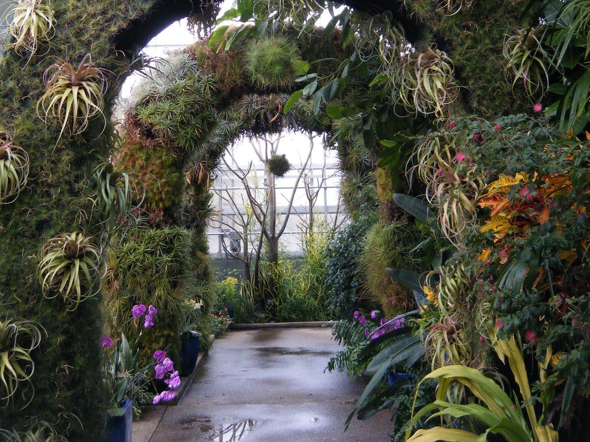 Arch of flowers and plants