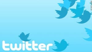 Grow Your Twitter TwitterBirds