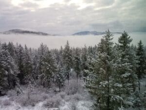 Snow covered trees in Sandpoint Idaho